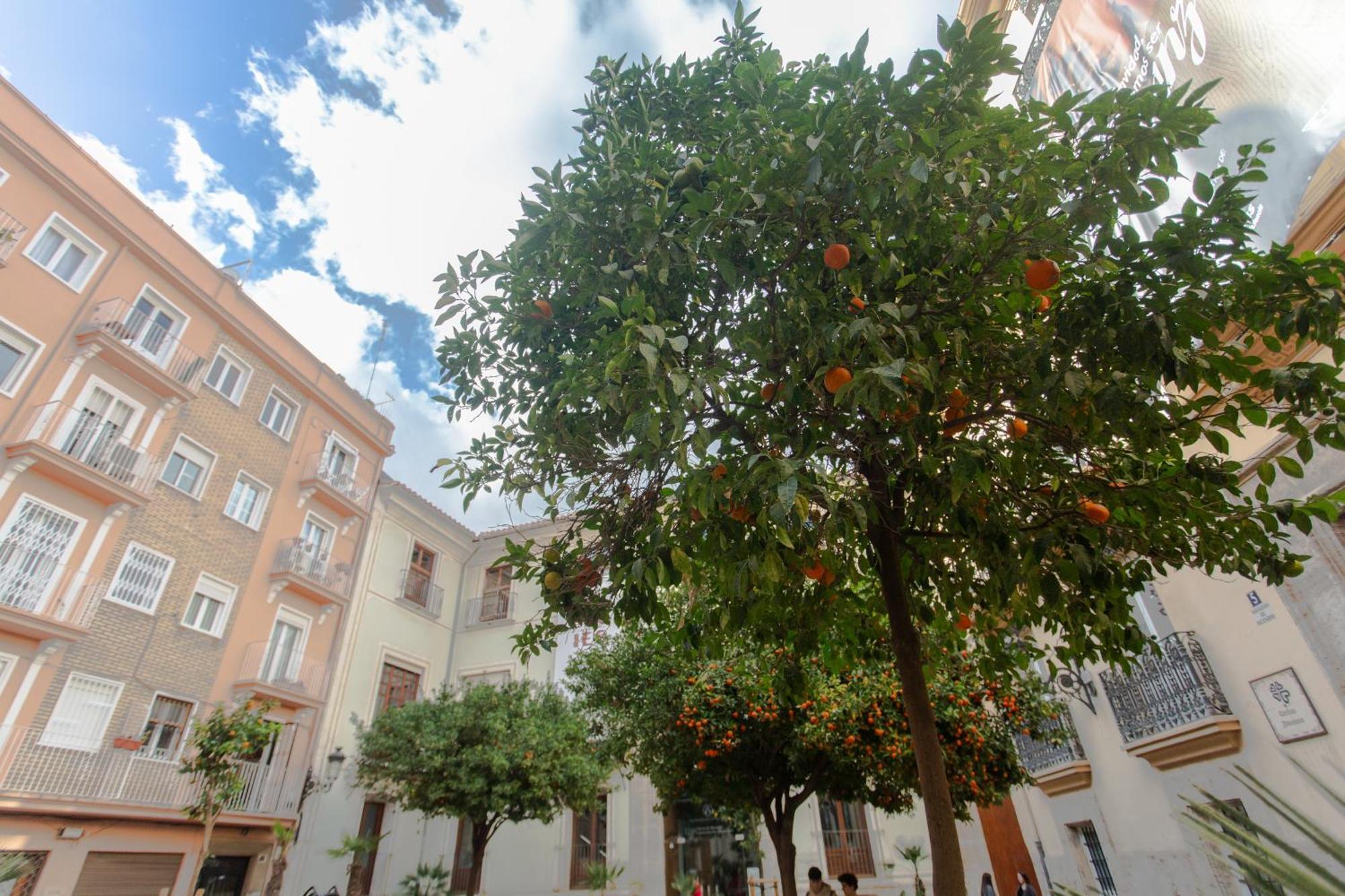 Vlc - Tranquilo Apartamento En Plaza Cisneros Valencie Exteriér fotografie