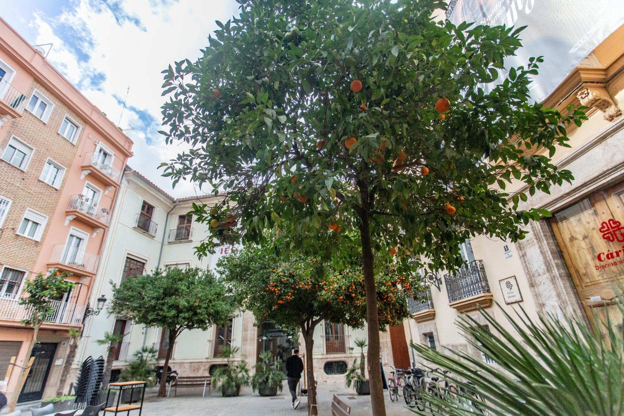 Vlc - Tranquilo Apartamento En Plaza Cisneros Valencie Exteriér fotografie